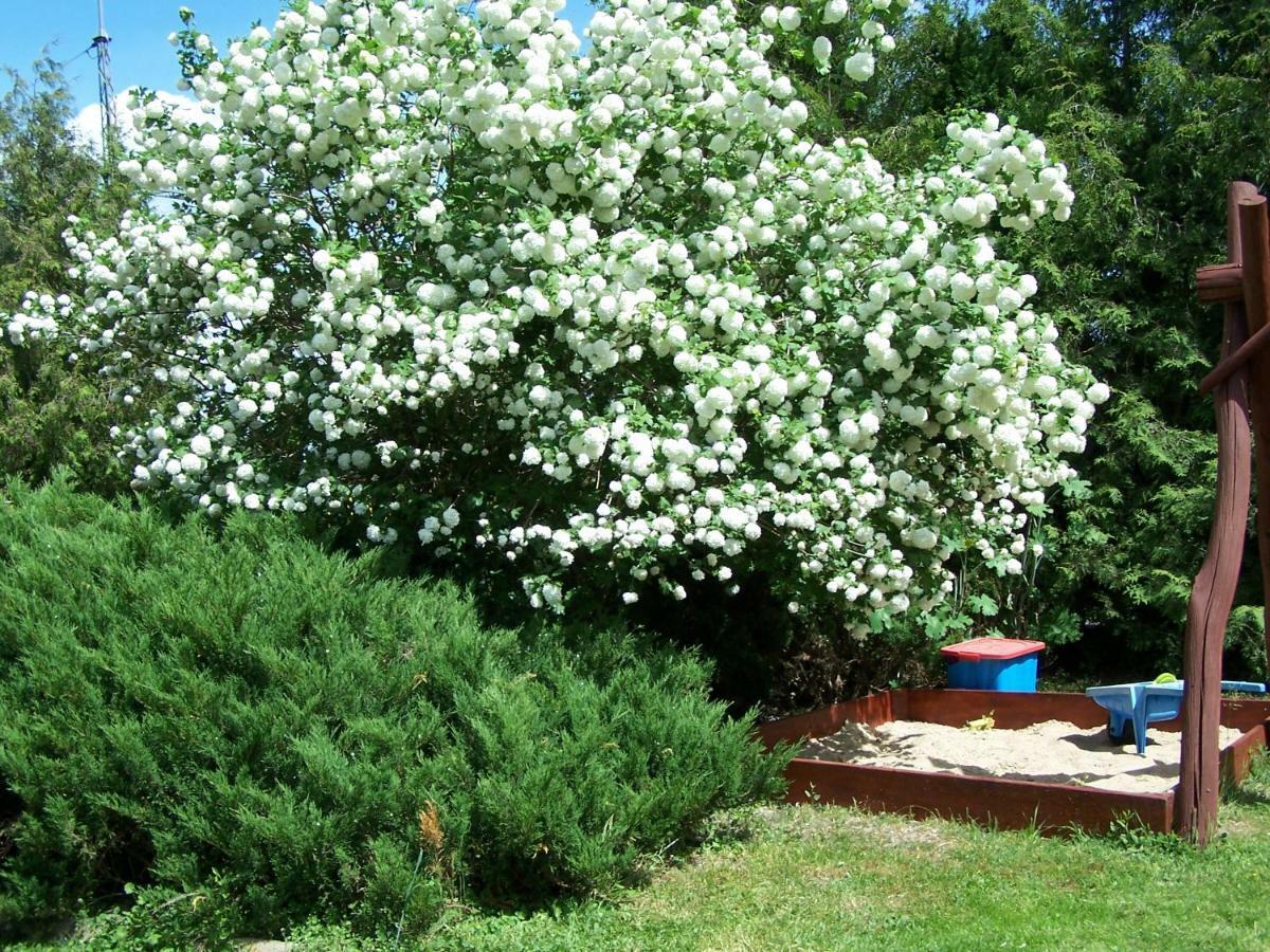 Agrohotelik-Gospodarstwo Agroturystyczne Mragowo Bagian luar foto